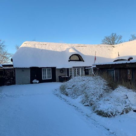 Farm61 Badehotellet I Det Midtjydske - Alder +18 Ar Tjele Экстерьер фото