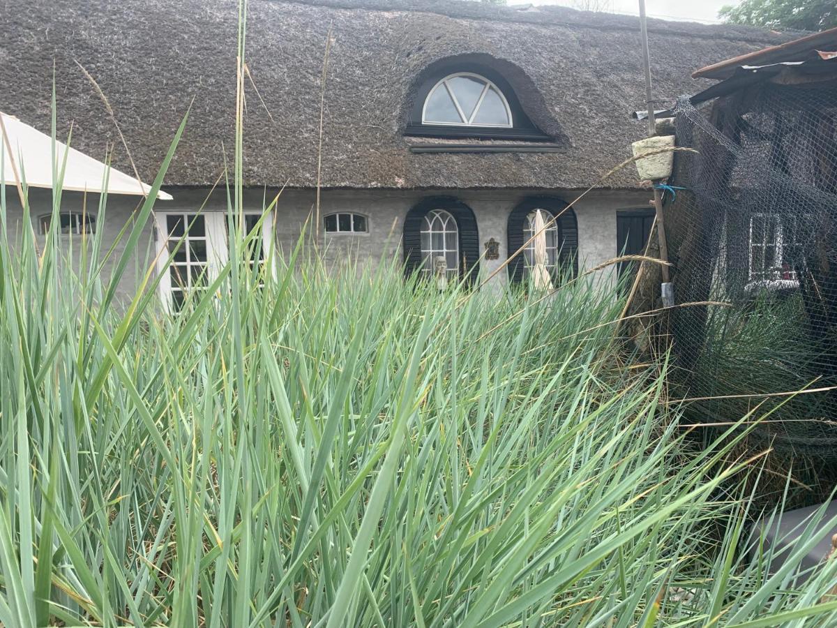 Farm61 Badehotellet I Det Midtjydske - Alder +18 Ar Tjele Экстерьер фото